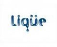 https://www.lique.com.br/